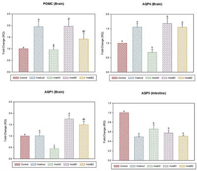 Effects of Betaine Supplementation on Live Performance, Selected Blood Parameters, and Expression of Water Channel and Stress-Related mRNA Transcripts of Delayed Placement Broiler Chicks